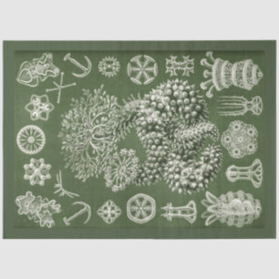 Vintage Sea Life Decoupage Tissue Paper