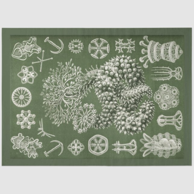 Vintage Sea Life Decoupage Tissue Paper (Front)