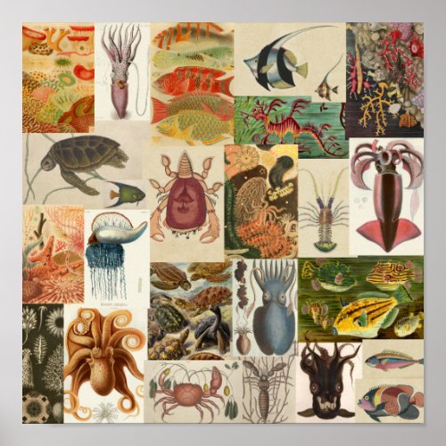 Vintage Sea Life Ocean Collage Wall Decor