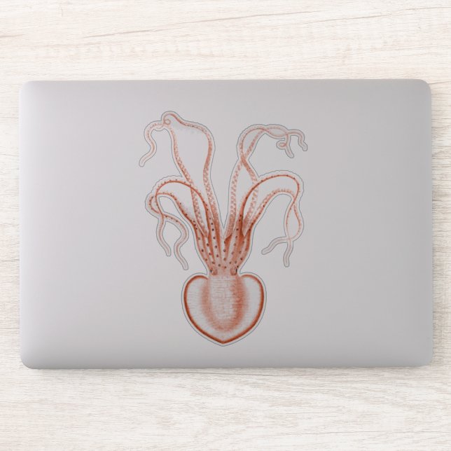 Vintage Sea Life Scientific Oceanography Octopus Sticker (Computer)
