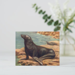 Vintage Sea Lion by the Seashore, Marine Mammals