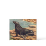 Vintage Sea Lion by the Seashore, Marine Mammals