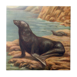 Vintage Sea Lion by the Seashore, Marine Mammals Ceramic Tile