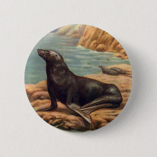 Vintage Sea Lion by the Seashore, Marine Mammals Pinback Button