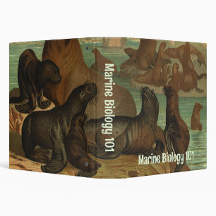 Vintage Sea Lions on the Beach, Marine Life Animal 3 Ring Binder