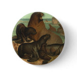 Vintage Sea Lions on the Beach, Marine Life Animal Button