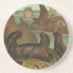 Vintage Sea Lions on the Beach, Marine Life Animal Coaster