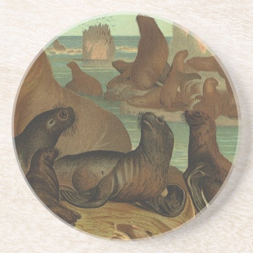 Vintage Sea Lions on the Beach Marine Life Animal Coaster