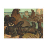 Vintage Sea Lions on the Beach, Marine Life Animal Postcard