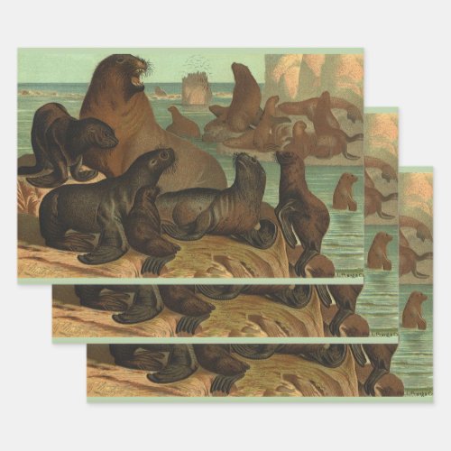 Vintage Sea Lions on the Beach Marine Life Animal Wrapping Paper Sheets