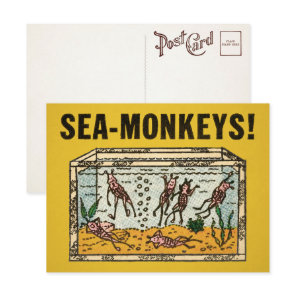 Vintage Sea Monkeys Postcard