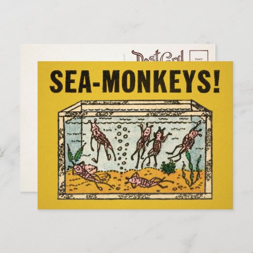 Vintage Sea Monkeys Postcard 