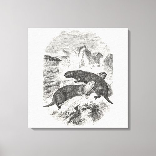 Vintage Sea Otters 1800s Otter Illustration Canvas Print