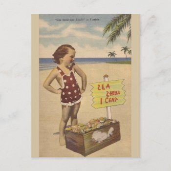 Vintage Sea Shells Florida Post Card by RetroMagicShop at Zazzle