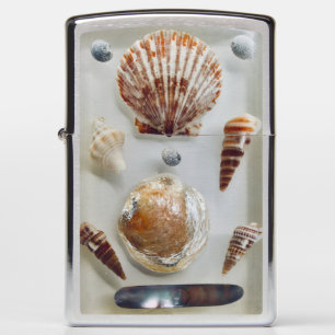 Vintage Sea Shells Zippo Lighter