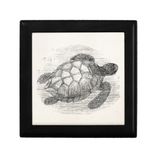 Vintage Sea Turtle Personalized Marine Turtles Jewelry Box