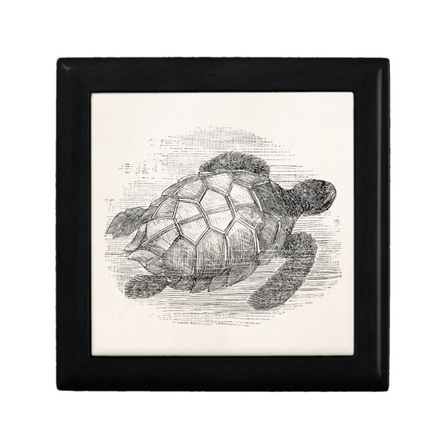 Vintage Sea Turtle Personalized Marine Turtles Jewelry Box (Front)