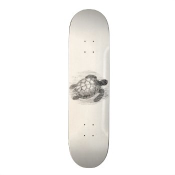 Vintage Sea Turtle Personalized Marine Turtles Skateboard Deck by SilverSpiral at Zazzle