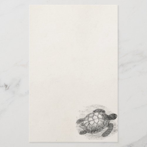 Vintage Sea Turtle Personalized Marine Turtles Stationery