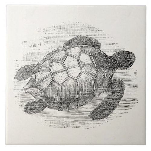 Vintage Sea Turtle Personalized Marine Turtles Tile