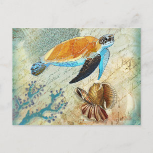 Vintage Sea Turtle with Seashells Ocean Blue Postcard