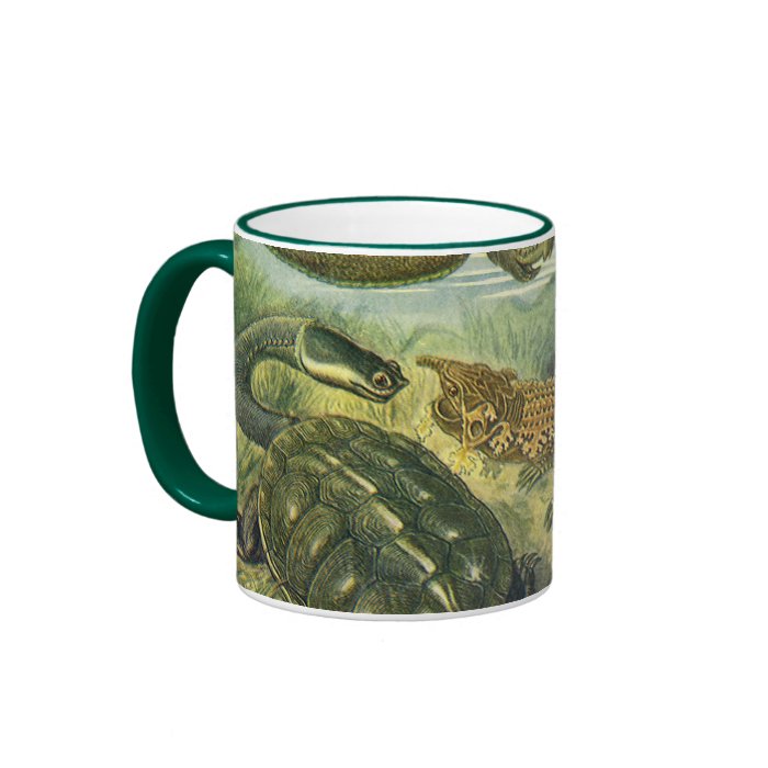 Vintage Sea Turtles and Tortoises by Ernst Haeckel Coffee Mugs