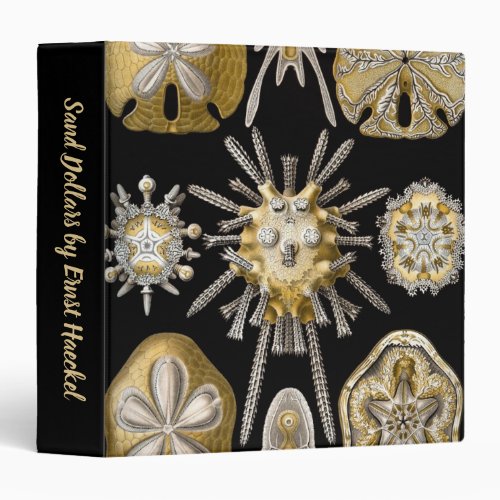 Vintage Sea Urchins Sand Dollars by Ernst Haeckel 3 Ring Binder