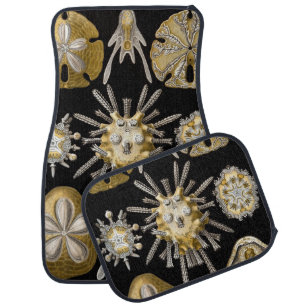 Vintage Sea Urchins Sand Dollars by Ernst Haeckel Car Mat