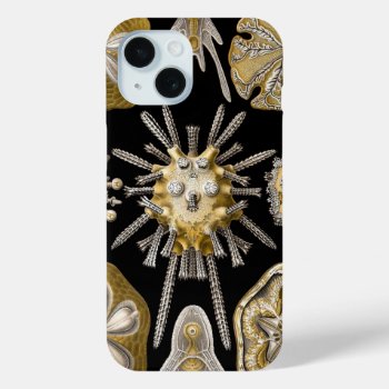 Vintage Sea Urchins Sand Dollars By Ernst Haeckel Iphone 15 Case by Ernst_Haeckel_Art at Zazzle