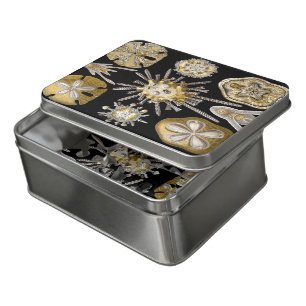 Vintage Sea Urchins Sand Dollars by Ernst Haeckel Jigsaw Puzzle