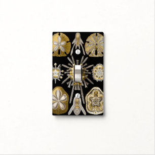 Vintage Sea Urchins Sand Dollars by Ernst Haeckel Light Switch Cover