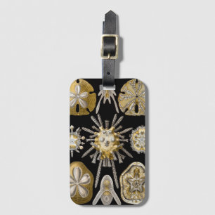 Vintage Sea Urchins Sand Dollars by Ernst Haeckel Luggage Tag