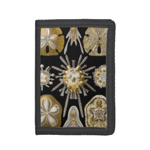 Vintage Sea Urchins Sand Dollars by Ernst Haeckel Tri-fold Wallet