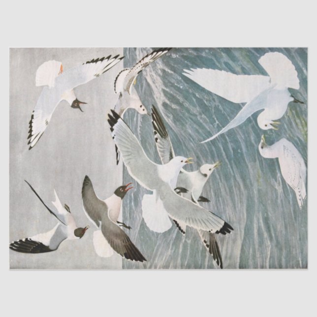 Vintage Seagull Ocean Bird Beach Decoupage  Tissue Paper (Front)