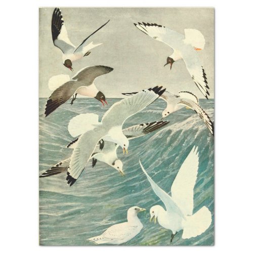 Vintage Seagull Ocean Bird Beach Decoupage  Tissue Paper