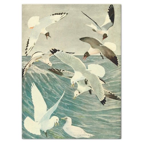 Vintage Seagull Ocean Bird Beach Decoupage  Tissue Paper