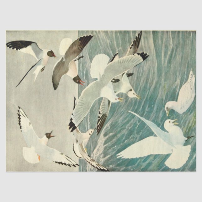 Vintage Seagull Ocean Bird Beach Decoupage  Tissue Paper (Front)