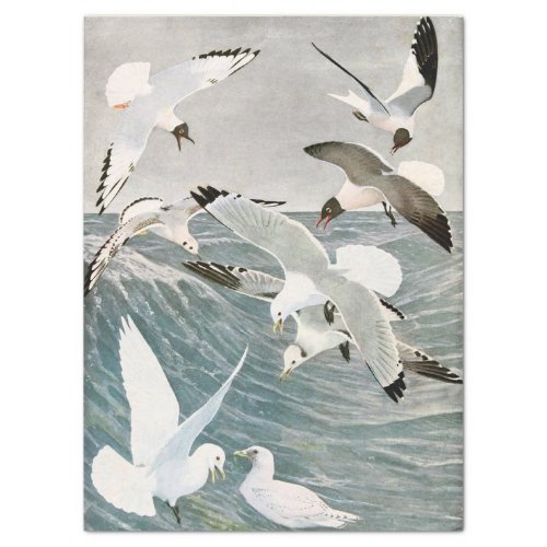 Vintage Seagull Ocean Bird Beach Decoupage  Tissue Tissue Paper
