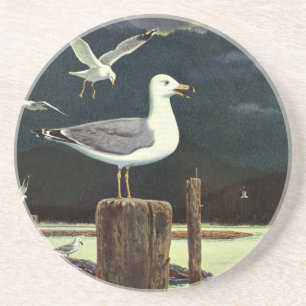 Vintage Seagull Perched Pier, Marine Birds Animals Coaster