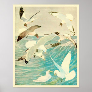 Vintage Seagulls and Ocean Waves  Poster