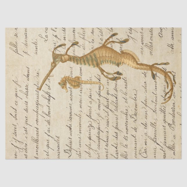 Vintage Seahorse and Script Decoupage Tissue Paper (Front)
