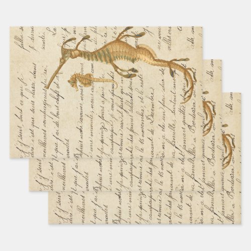 Vintage Seahorse and Script Wrapping Paper Sheets