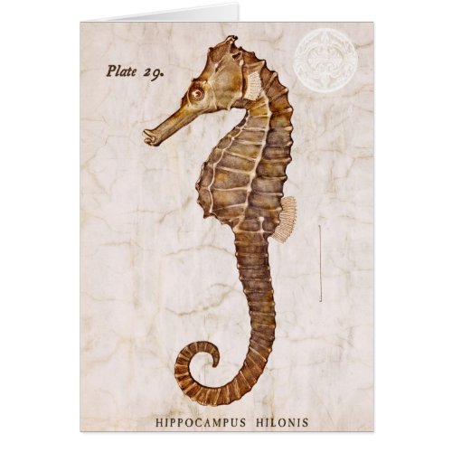 Vintage Seahorse _ Antique Seahorses Customized