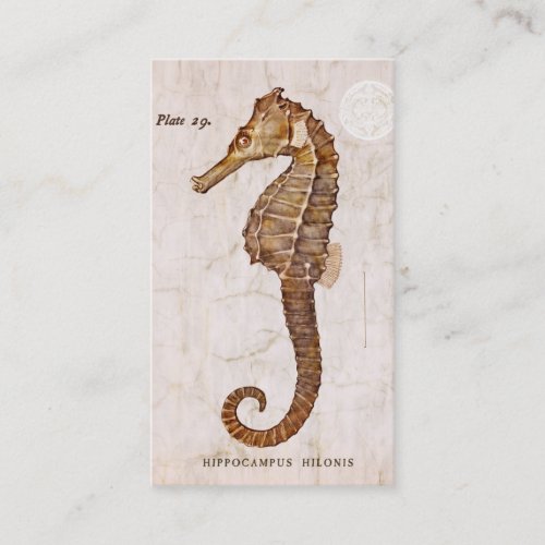 Vintage Seahorse _ Antique Seahorses Customized Business Card