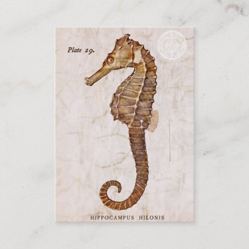 Vintage Seahorse _ Antique Seahorses Customized Business Card