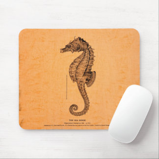 Vintage Seahorse Illustration Mouse Pad