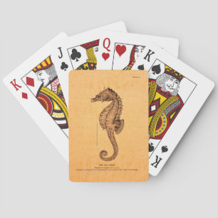 Vintage Seahorse Illustration Poker Cards