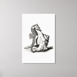 Vintage Seahorse Sea Horse Trumpet Shell Beach Canvas Print