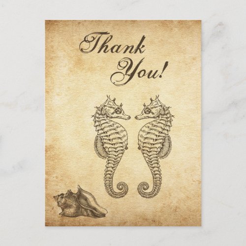 Vintage Seahorses and Conch Shell Beach Thank You Postcard