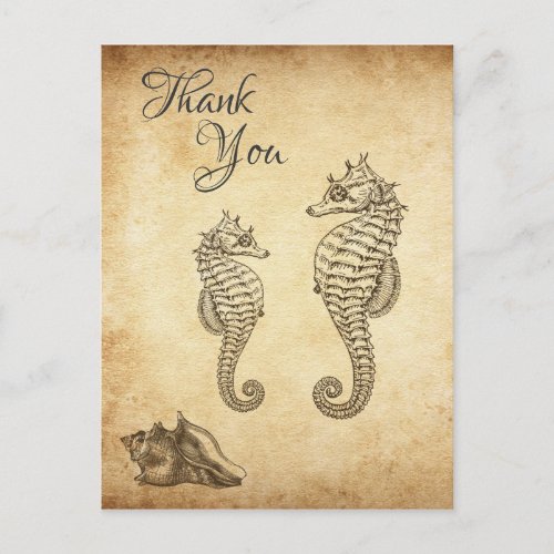 Vintage Seahorses and Conch Shell Beach Thank You Postcard